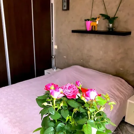 Apartman Sea View